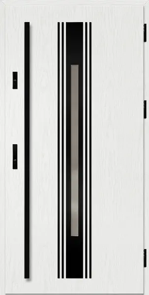 Ocelové vchodové dveře WELS 5