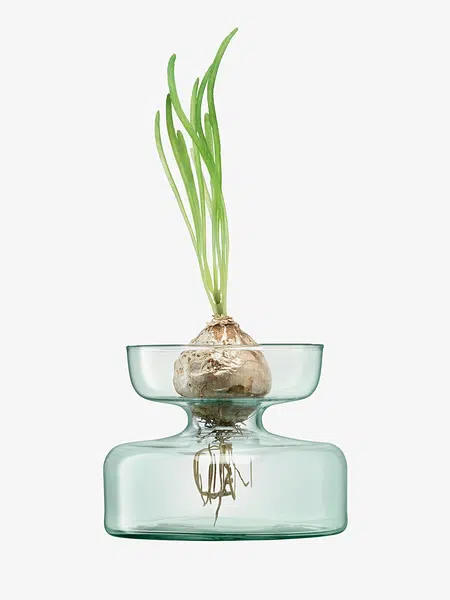 Váza/skleněný květináč, výška 10 cm, čirý - LSA International