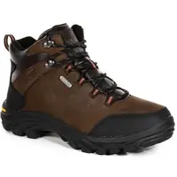 REGATTA OUTDOORS BURRELL LEATHER Pánská treková obuv, hnědá, velikost