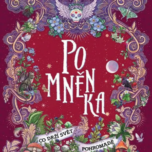 Pomněnka: Co drží svět pohromadě - Kerstin Gier