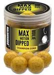 Haldorádó dipované boilies dipped max motion 80 g 20 mm - champion corn