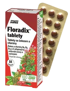 SALUS Floradix 84 tablet