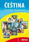 Čeština - stručná mluvnice - Jiří Kleker, Jana Drechslerová