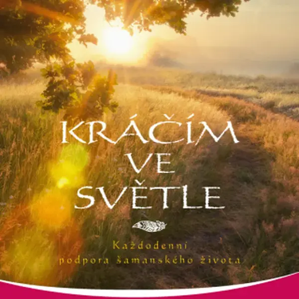 Kráčím ve světle - Sandra Ingermanová - e-kniha