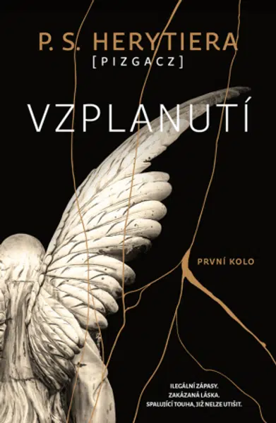 Vzplanutí: První kolo - P. S. Herytiera - e-kniha