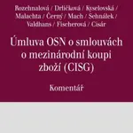 Úmluva OSN o smlouvách o mezinárodní koupi zboží - Naděžda Rozehnalová, Jiří Valdhans, Filip Černý, Klára Drličková, Tereza Kyselovská, David Sehnálek