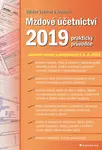 Mzdové účetnictví 2019 - Václav Vybíhal
