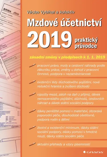 Mzdové účetnictví 2019 - Václav Vybíhal