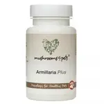 Armillaria Plus (450 mg) 60 ks