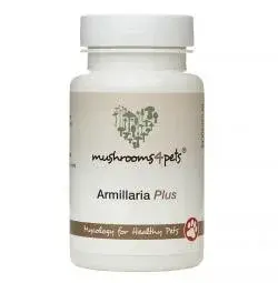 Armillaria Plus (450 mg) 60 ks