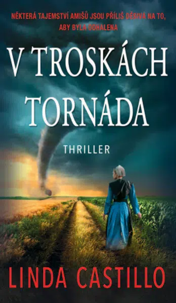 V troskách tornáda - Linda Castillo - e-kniha