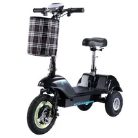 TWOFISH TF03 Electric Scooter with Seat 350W 48V 15Ah 28km/h Blue