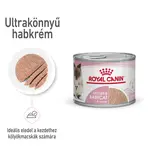 Royal Canin Babycat Instinctive - kašovité vlhké krmivo pre mačiatka 12 x 195 g