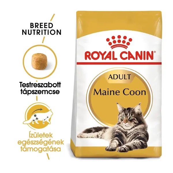 Royal Canin Maine Coon Adult - granule pro dospělé mainské mývalí kočky 4 kg