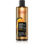 Farmona Jantar Amber Essence čisticí detoxikační šampon na mastné vlasy 300 ml