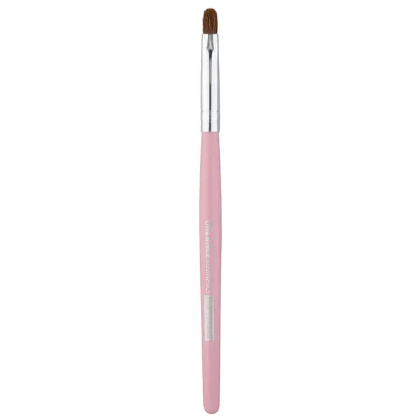 Diva & Nice Cosmetics Accessories Brush štětec na rty MAX 491/5 1 ks