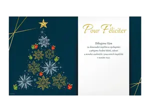 Přání novoroční, PF V24-490 K