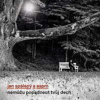 Jan Spálený & ASPM – Nemůžu popadnout tvůj dech