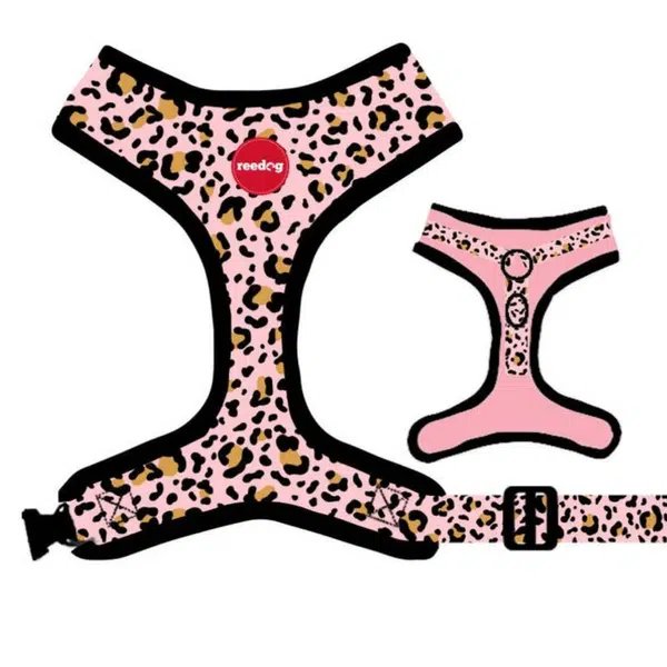 Reedog LEO PINK | Postroj pre psa - XXS