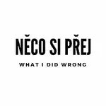 Něco si přej – What I Did Wrong