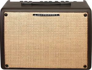 Ibanez T30II (použité)