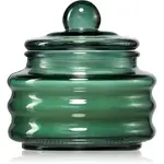 Paddywax Beam Cypress & Fir vonná svíčka 85 g