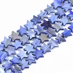 Freshwater Shell Beads Strands