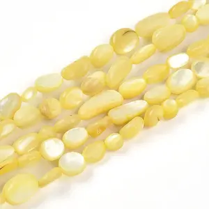 Natural White Shell Beads Strands
