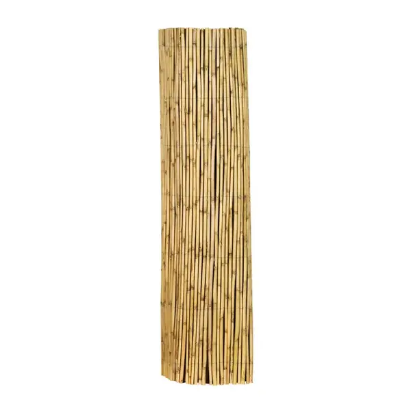 CLONA NA PLOT 300/100 cm