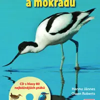 Ptáci našich vod a mokřadů + CD s hlasy 80 druhů ptáků