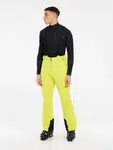 Men's ski pants Protest PRTROWENS