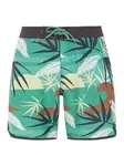 Men's beach shorts Protest PRTADDO