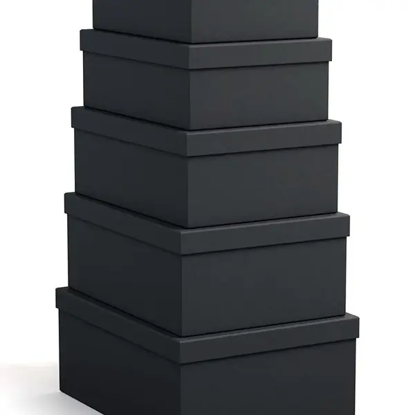 Sada úložných krabíc Bigso Box of Sweden Joel 5-pak