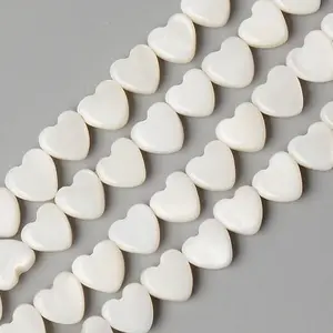 Natural Freshwater Shell Beads Strands