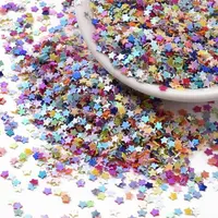 Shining Nail Art Glitter
