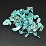 Dyed Natural Shell Nuggets Chips Beads
