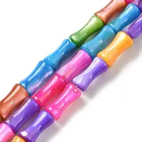 Natural Freshwater Shell Dyed Beads Strands