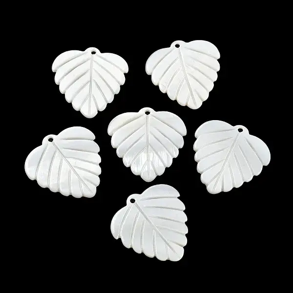 Natural Freshwater Shell Pendants