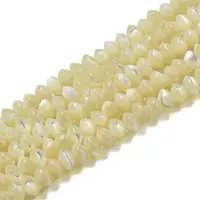 Natural Trochus Shell Rondelle Beads Strands