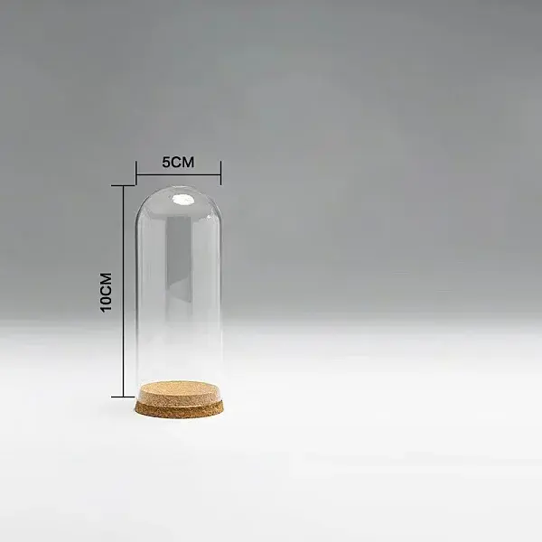 High Borosilicate Glass Dome Cover