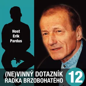 (Ne)vinný dotazník Radka Brzobohatého 12. - audiokniha
