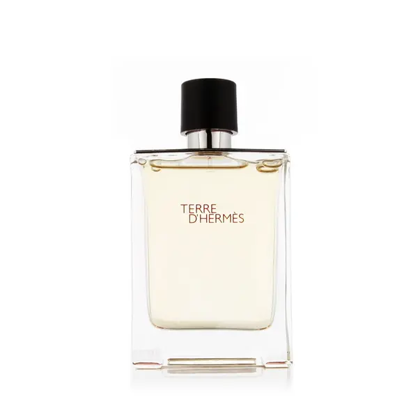 Hermès Terre D'Hermès EDT 100 ml M