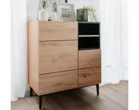 Skrinka 2-dverová Nola, dub artisan/čierna%