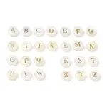 26Pcs 26 Styles Natural Shell Beads