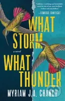 What Storm, What Thunder (A Novel) - Myriam J.A. Chancy