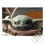 Plagát 3D - The Mandalorian, Grogu