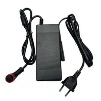 60V Charger for Ausom F1 Max Electric Scooter - EU Plug