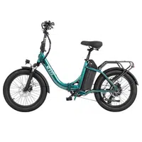 DYU C9 Folding Electric Bike 250W 48V 15.6Ah Green
