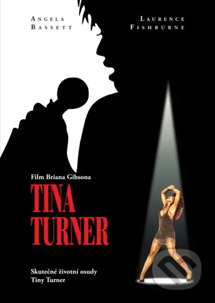 Tina Turner - Brian Gibson - film z kategorie Autobiografické dokumenty