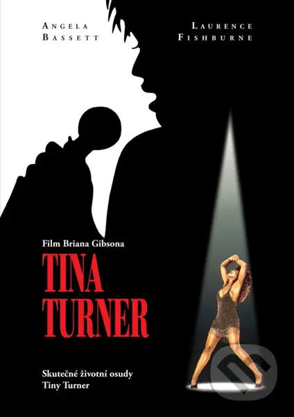 Tina Turner - Brian Gibson